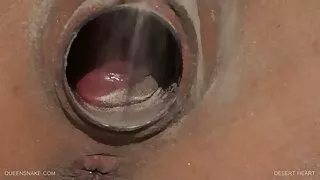Ta por o seks istutab oma sõbra sitapea ja jõuab sees.