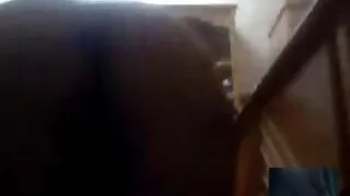 Kurat seks porno arab kogu öö Bab Bambb bambb Bambb