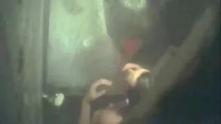 Fart tüdrukud parno seks vidyo mõlemale poolele.