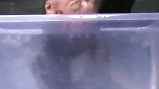 Noor mees fucks seks orno koos boss.