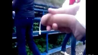 J animal seks video