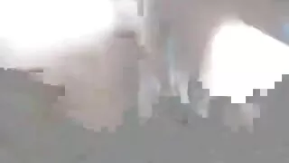 Penelope Ka ka sunnitud tema kasuisa, et kurat teda tuss. seksi porni